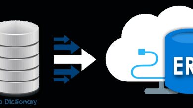 erp migration services