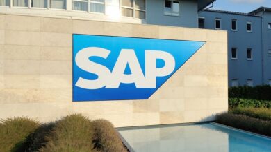 SAP consultant rates